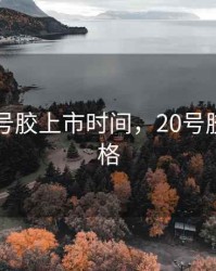期货20号胶上市时间，20号胶期货价格