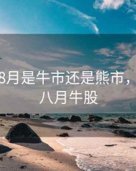 2020年8月是牛市还是熊市，2020年八月牛股