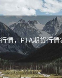 pta期货行情，PTA期货行情实时行情