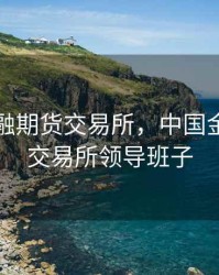 中国金融期货交易所，中国金融期货交易所领导班子