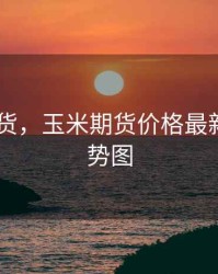 玉米 期货，玉米期货价格最新行情走势图