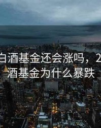 2020年白酒基金还会涨吗，2020年白酒基金为什么暴跌