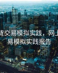 网上期货交易模拟实践，网上期货交易模拟实践报告