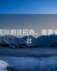 美黄金国际期货招商，美黄金期货平台