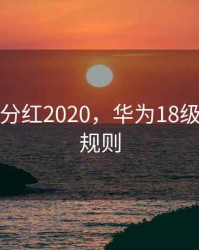 华为tup分红2020，华为18级tup分红规则