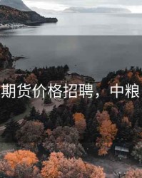 中粮期货价格招聘，中粮 期货