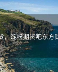 淀粉期货，淀粉期货吧东方财富讨论