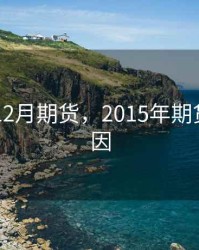 2015年12月期货，2015年期货大跌原因