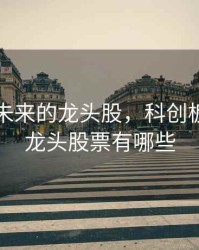 科创板未来的龙头股，科创板未来的龙头股票有哪些