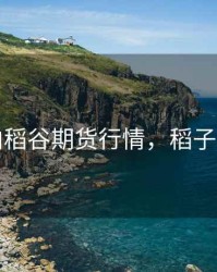 国内稻谷期货行情，稻子期货