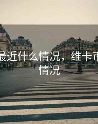 维卡币最近什么情况，维卡币这几天情况