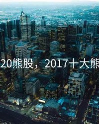 2020熊股，2017十大熊股