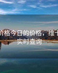 维卡币价格今日的价格，维卡币价格实时查询