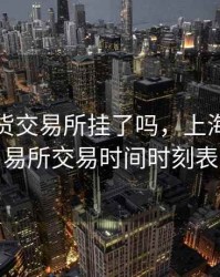 上海期货交易所挂了吗，上海期货交易所交易时间时刻表