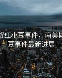 南美期货红小豆事件，南美期货红小豆事件最新进展