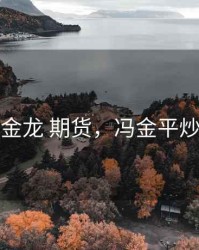 冯金龙 期货，冯金平炒货