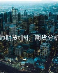 杨分析师期货tj图，期货分析师介绍