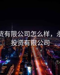 永商期货有限公司怎么样，永商在线投资有限公司