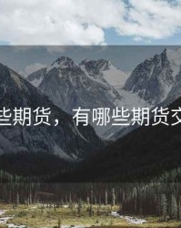 有哪些期货，有哪些期货交易所