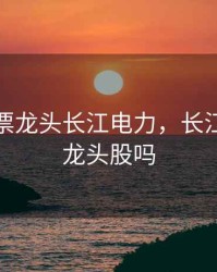 水电股票龙头长江电力，长江电力是龙头股吗