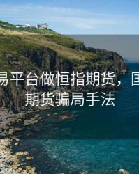外汇交易平台做恒指期货，国内恒指期货骗局手法