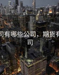 期货公司有哪些公司，期货有那些公司