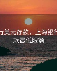 上海银行美元存款，上海银行美元存款最低限额