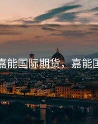 新加坡嘉能国际期货，嘉能国际石油