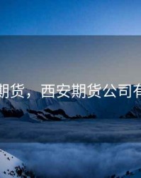 西安期货，西安期货公司有哪些