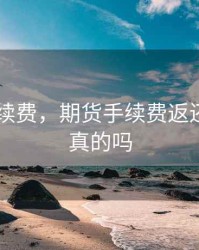 期货 手续费，期货手续费返还90%是真的吗