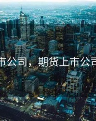 期货上市公司，期货上市公司有几家