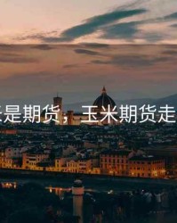 玉米是期货，玉米期货走势图