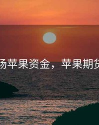 期货市场苹果资金，苹果期货的作用