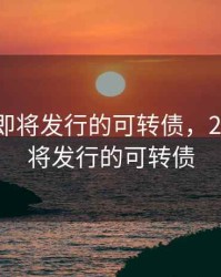 2020年即将发行的可转债，2021年即将发行的可转债