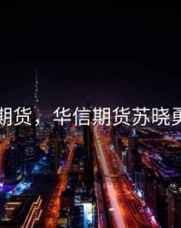 华信期货，华信期货苏晓勇简历