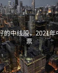2020年好的中线股，2021年中长线股票