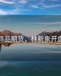 林新象商品期货，林新象开盘八法书