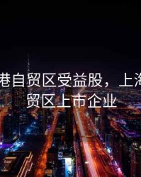 上海临港自贸区受益股，上海临港自贸区上市企业