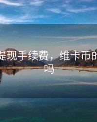 维卡币提现手续费，维卡币的钱能退吗