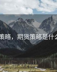 期货 策略，期货策略是什么意思