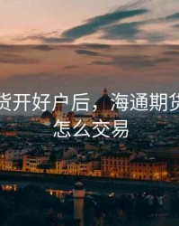 海通期货开好户后，海通期货开户后怎么交易