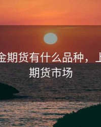 上海黄金期货有什么品种，上海黄金期货市场