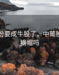 中葡股份要成牛股了，中葡股份有望摘帽吗