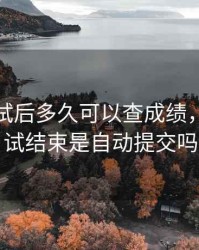 期货考试后多久可以查成绩，期货考试结束是自动提交吗