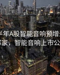 2020上半年A股智能音响预增最大的公司是那家，智能音响上市公司排名