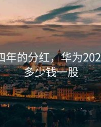 华为近四年的分红，华为2021年分红多少钱一股