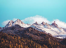 鸡蛋1905期货价格，鸡蛋期货今日价格金投2020