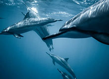 鸡蛋1905期货价格，鸡蛋期货今日价格金投2020