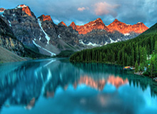 鸡蛋1905期货价格，鸡蛋期货今日价格金投2020