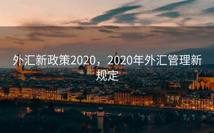 外汇新政策2020，2020年外汇管理新规定